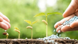 ¿Qué es la ley de insumos agropecuarios?