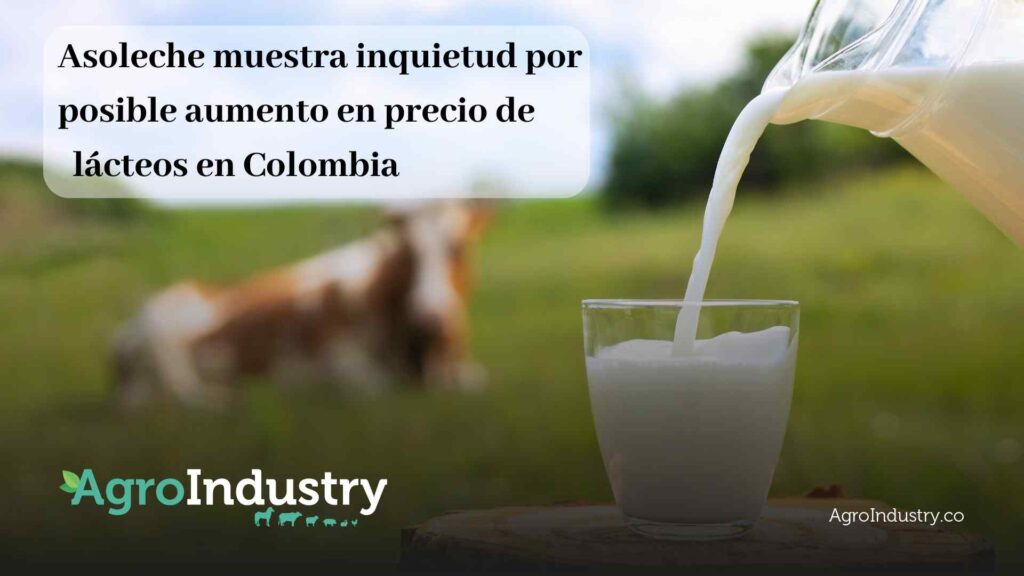 Asoleche muestra inquietud por posible aumento en precio de lácteos en Colombia