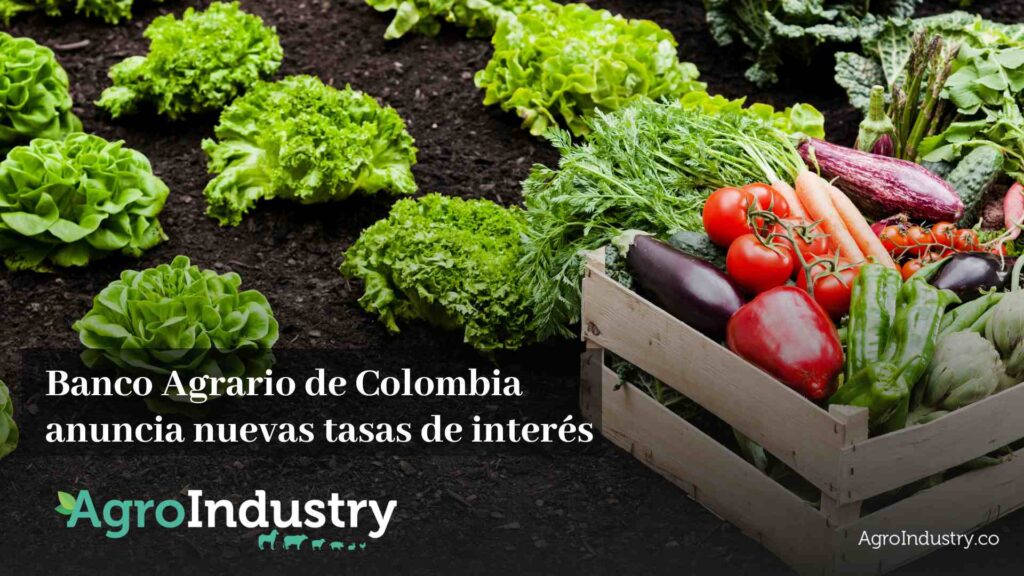 Banco Agrario de Colombia anuncia nuevas tasas de interés