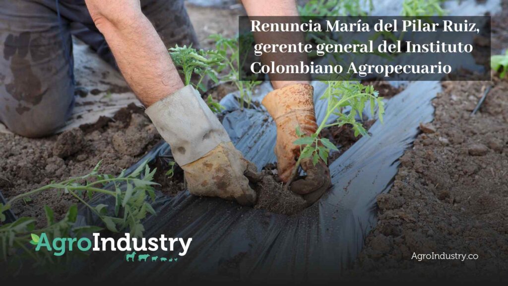 Renuncia María del Pilar Ruiz, gerente general del Instituto Colombiano Agropecuario
