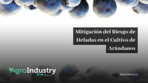 Mitigación del Riesgo de Heladas en el Cultivo de Arándanos en Colombia