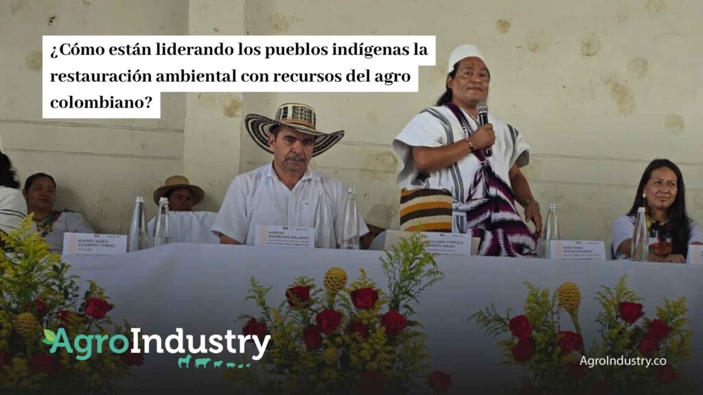 ¿Cómo están liderando los pueblos indígenas la restauración ambiental con recursos del agro colombiano?