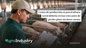 Costos de producción en porcicultura: todo porcícola debería revisar esto antes de perder plata sin darse cuenta