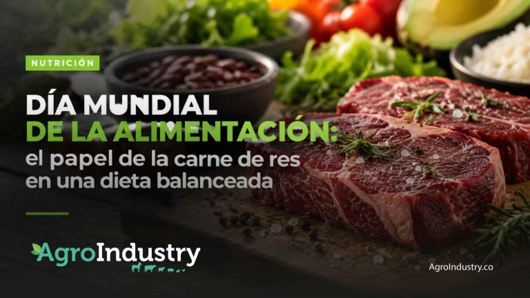 Carne de res y alimentación saludable: qué aporta y cuál es su papel en una dieta balanceada